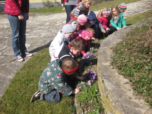 Kindergarten sucht den Frühling