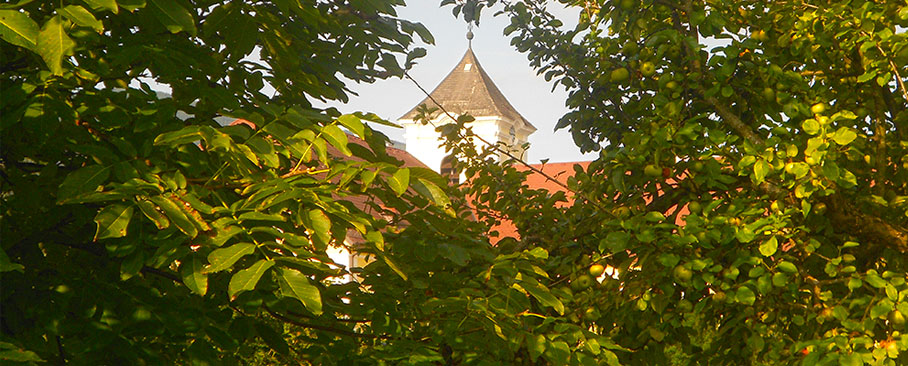 Kloster Kirchberg